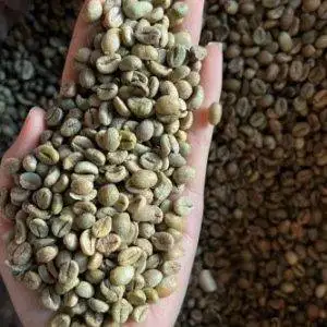 Robusta Natural & Honey <br/> Contact us for Current Price