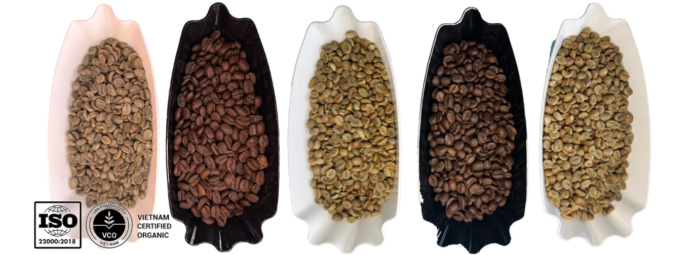 Green coffee bean trays