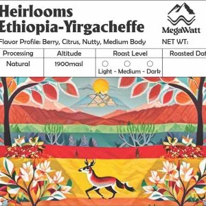 Megawatt Ethiopian Coffee